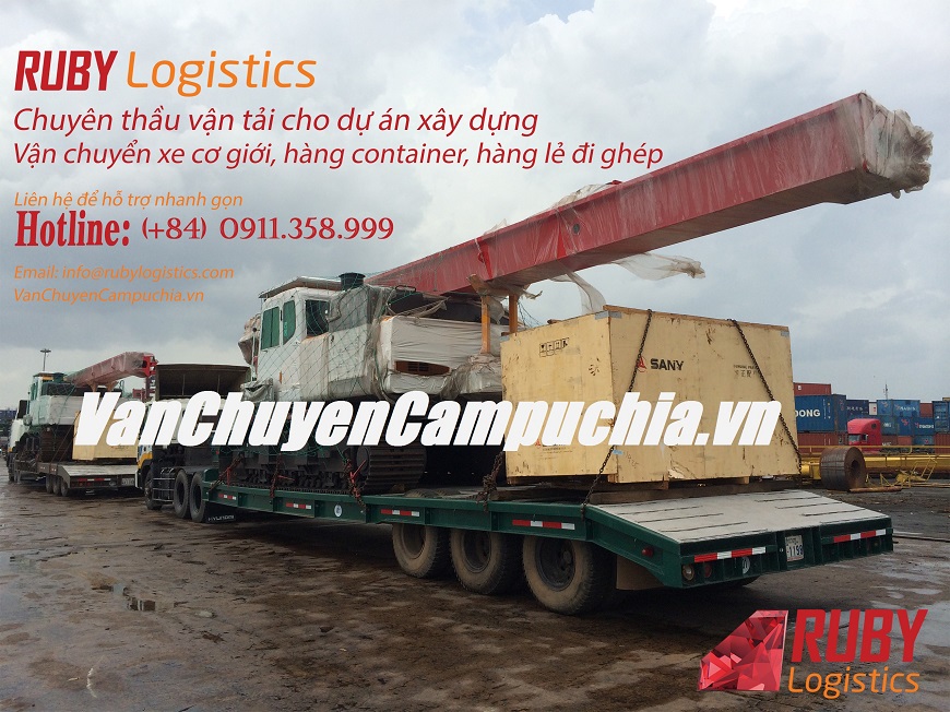 Ảnh thực tế